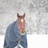 『お誕生日おめでとう』の画像