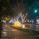 自分らしく楽しむ