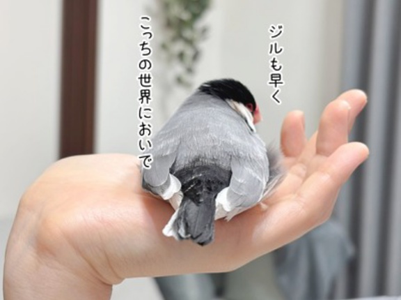 早くこっちの世界においで