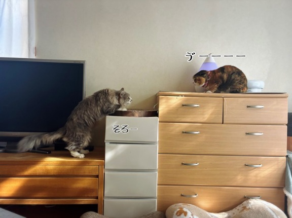 村尾くんが凛さんに6分かけてにじり寄る