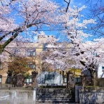 お星様のなんでも探検