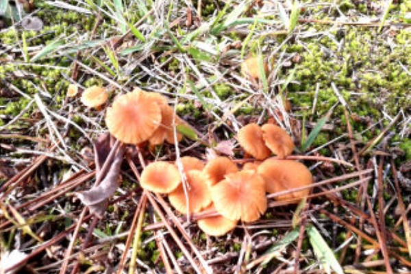 W けみょのルーム