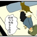 愛猫に避けられる時