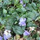 記念日・二人で一人