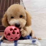 ティアハイムさいたま公式ブログ