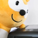 『[イコラブ] Pontaの体幹チャレンジ？？』の画像