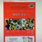 保護犬ロゼのポテポテ便り