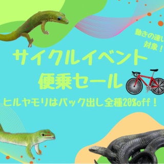 爬虫類倶楽部大宮店公式ブログ