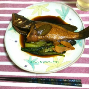 フワっとした白身が美味しい！あこうの煮付け