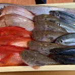 ホームステーション瀬谷のブログ