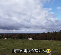 ルーブルの強盗2人逮捕・宝物は未回収