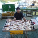 12月7日　2馬力船釣果