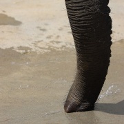 媛ちゃんの水遊び
