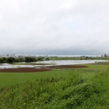 『A地区の一部が冠水 10号の動きが気になります』の画像