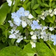 5月14日(金) (^O^)／