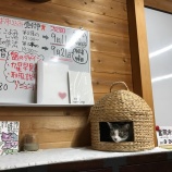 �ؿͤ����ϤȤα� ����̮�ʾ�˽��פ���̮���٤β���