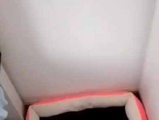 【深淵】 ベッドに黒いシートが敷いてあった。スプーンを近づけてみる → おわかりいただけただろうか…