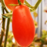 『AIと光マイクロバブル（6050回記念）（4）』の画像