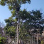 幕末・明治の肥前　こぼれ話