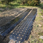 里山暮らしの雑記帳