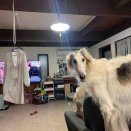 エプロン出せ！！