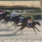 競馬総合まとめ速報