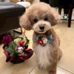 年収２億、夢を生きる幸せなお金持ちへ！　昼は投資家、夜はユーチューバー　神王リョウ・オフィシャルブログ