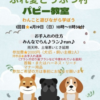 ふれ愛どうぶつ村「パピー教室」