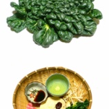 『436.タアサイと豚バラ肉とシャキシャキもやしのコチュマヨ炒め』の画像