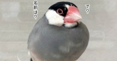 イケメンの勘