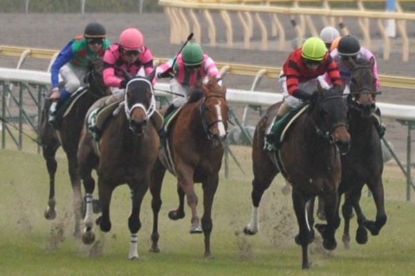 穴馬拾いたい競馬予想 過去データ 脚質 調教から