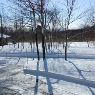 森の温泉～駒の湯温泉通信