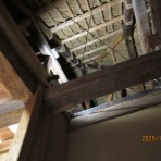 函館発　　ぼうけんの旅