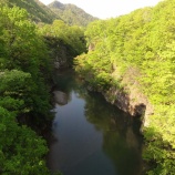 『定山渓の山は新緑のきれいな季節になりました。』の画像