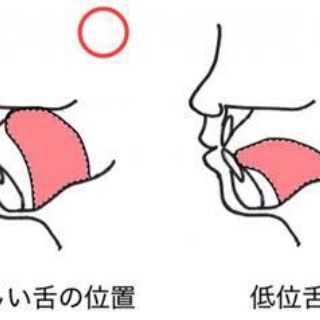 凹凸ちゃんねる　発達障害・生きにくい人のまとめ
