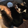 女3人集まれば…
