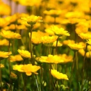 俺に嫁の知らない貯金が有ることが分かって、嫁が滅茶苦茶荒れてる。嫁「その金があったらもっといい家が建てれてた。ローンに苦しまなくてよかったのに。今からでも全部寄越せ」