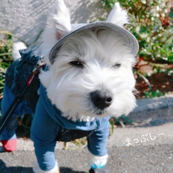 白内障予防で帽子を買ったのだが