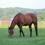 『お向かいさん』の画像