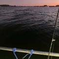 またまた博多湾太刀魚に行ってきました