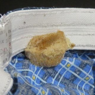 VAMPIRE BLOG (バンパイアブログ)