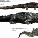ワイ、古代のワニのデカさを知ってチビる