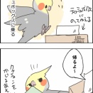 帰らないニュー