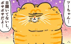 ハルノミケの本日もネコ日和