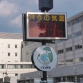 41.8度を記録