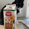 【ご飯日記】３食レンズ豆・スイカ・甘いアイスティーとデトックスウォーター