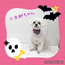 ＪＡＭにご来店♪