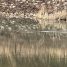 基本に立ち返る