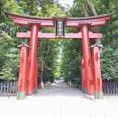 宙に浮く!?「彌彦神社の鳥居」