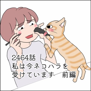 あんこと麦と